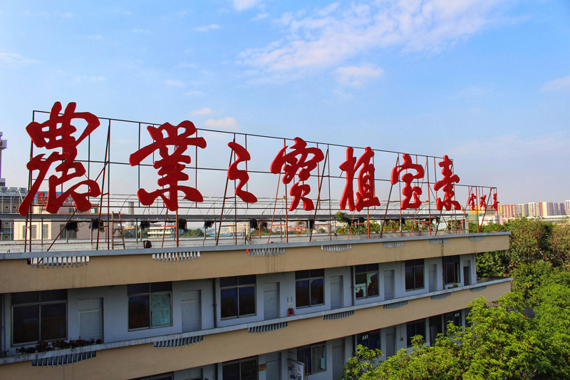 禅城育企：從“星星多月亮少”邁向(xiàng)“增量提質”